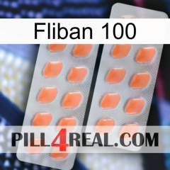 Fliban 100 27